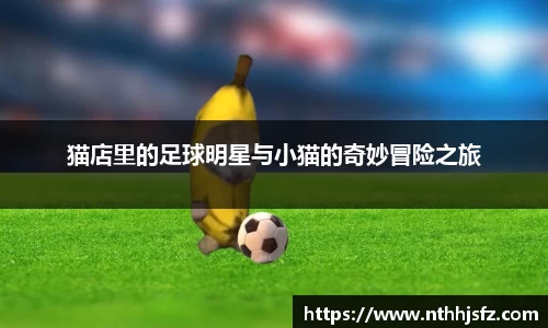 乐动LDSports官网